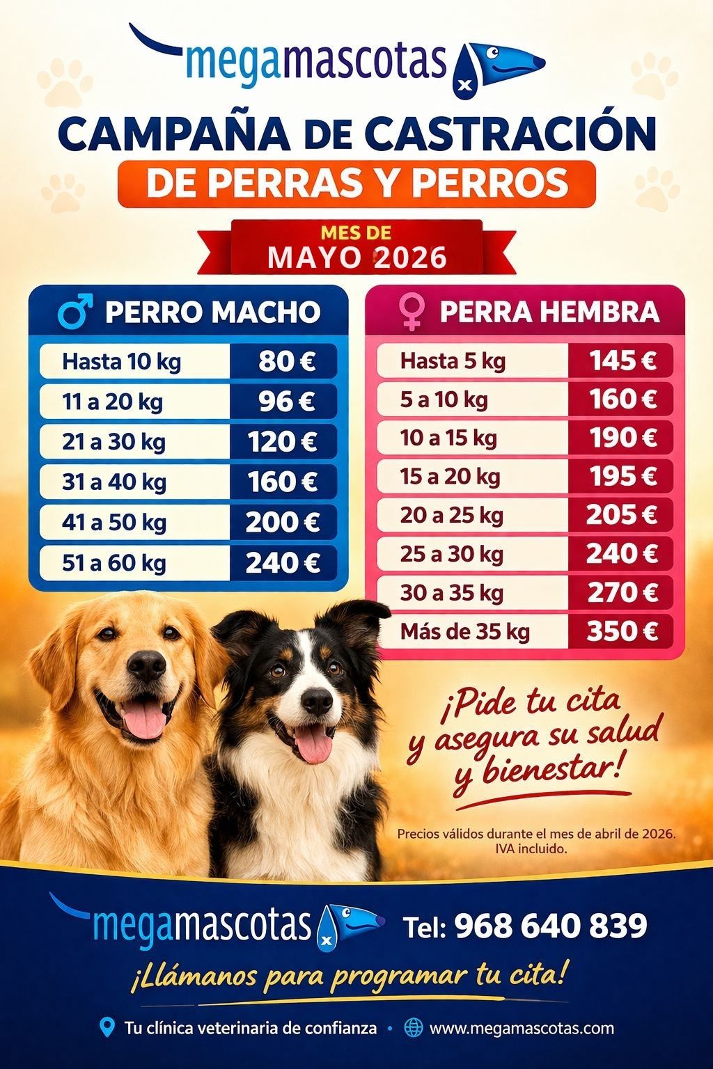 Cartel azul y rojo de campaña de castración de perros y perras con precios y fotos de dos perros felices.
