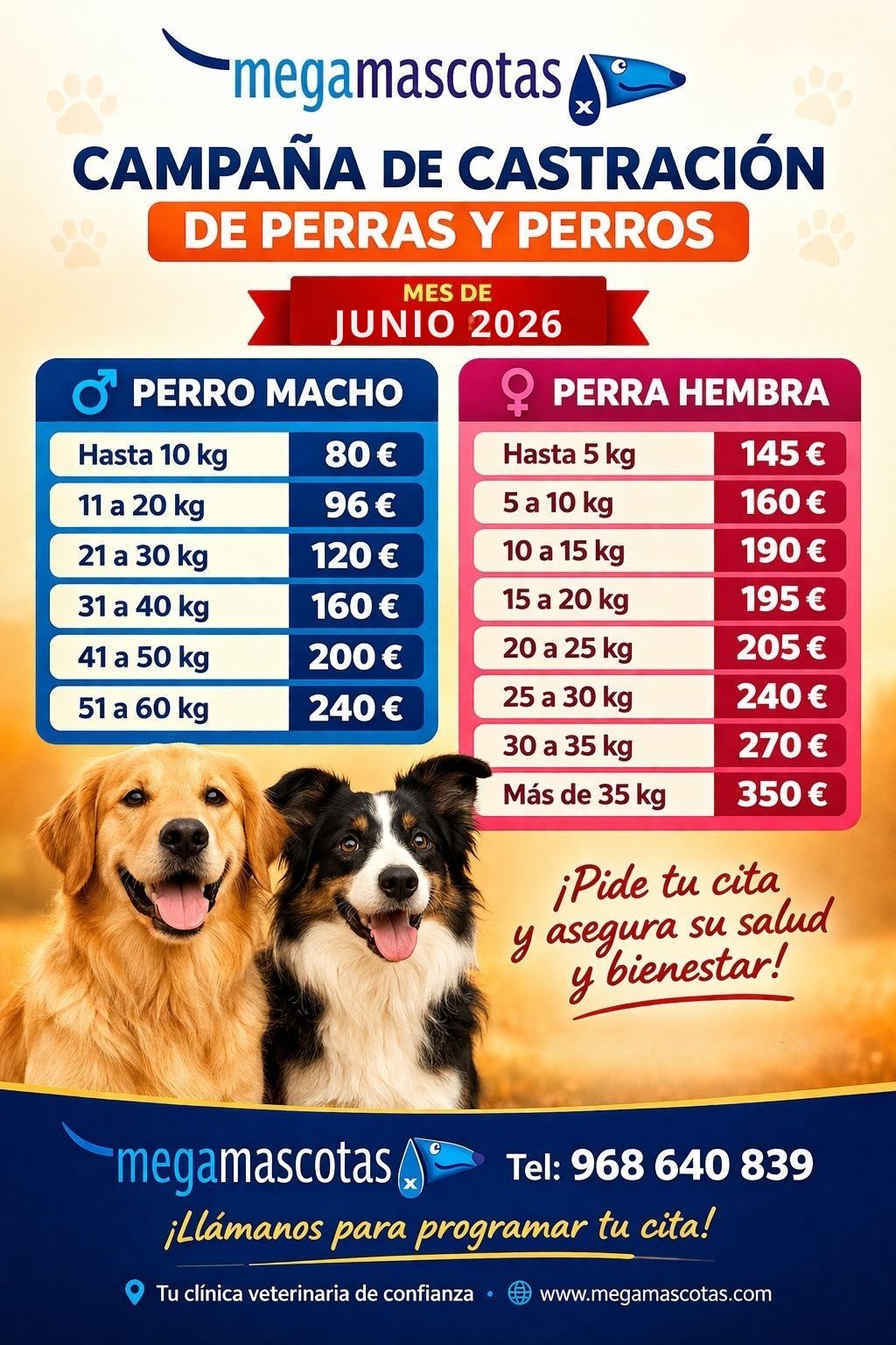 Cartel azul y rojo de campaña de castración de perros y perras con precios y fotos de dos perros felices.