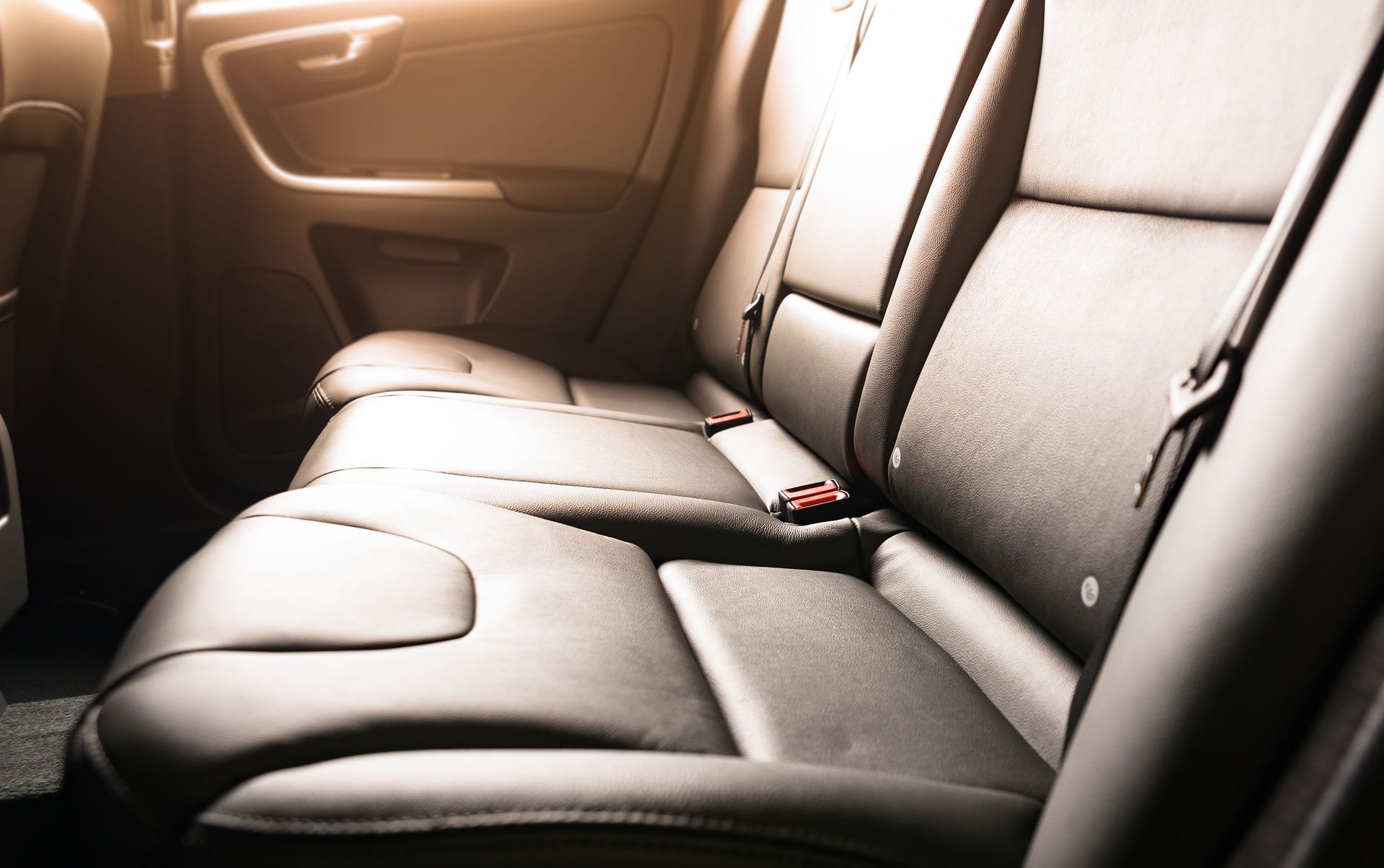 El asiento trasero de un coche con un cinturón de seguridad rojo.