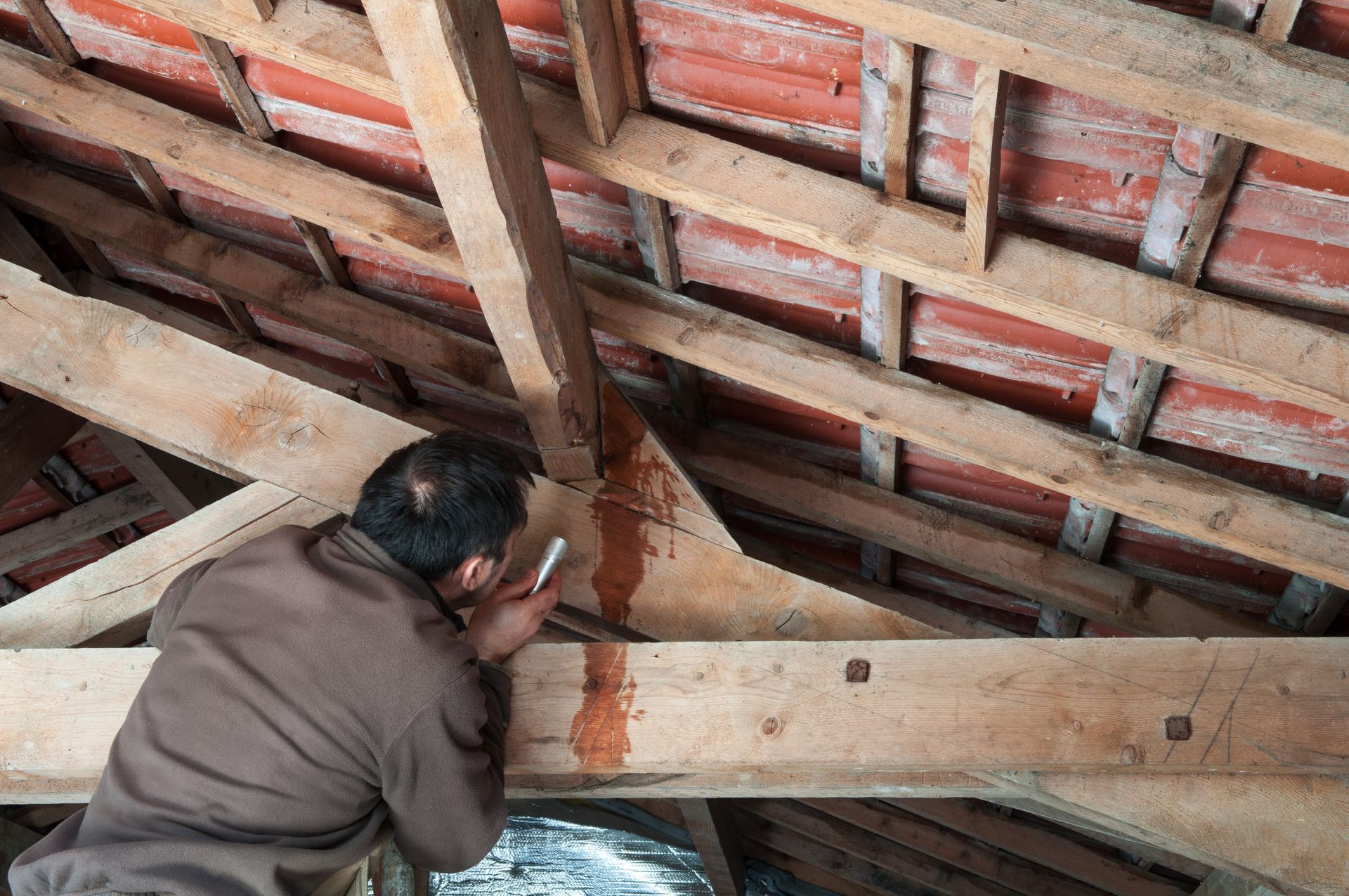 Un homme inspecte la structure en bois d'un grenier ; une tache brun rougeâtre est visible sur les poutres.