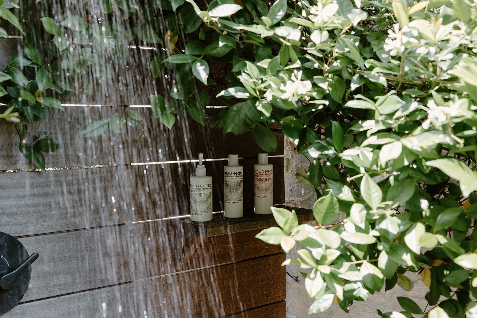 Three bottles of shampoo are sitting on a shelf under a shower.