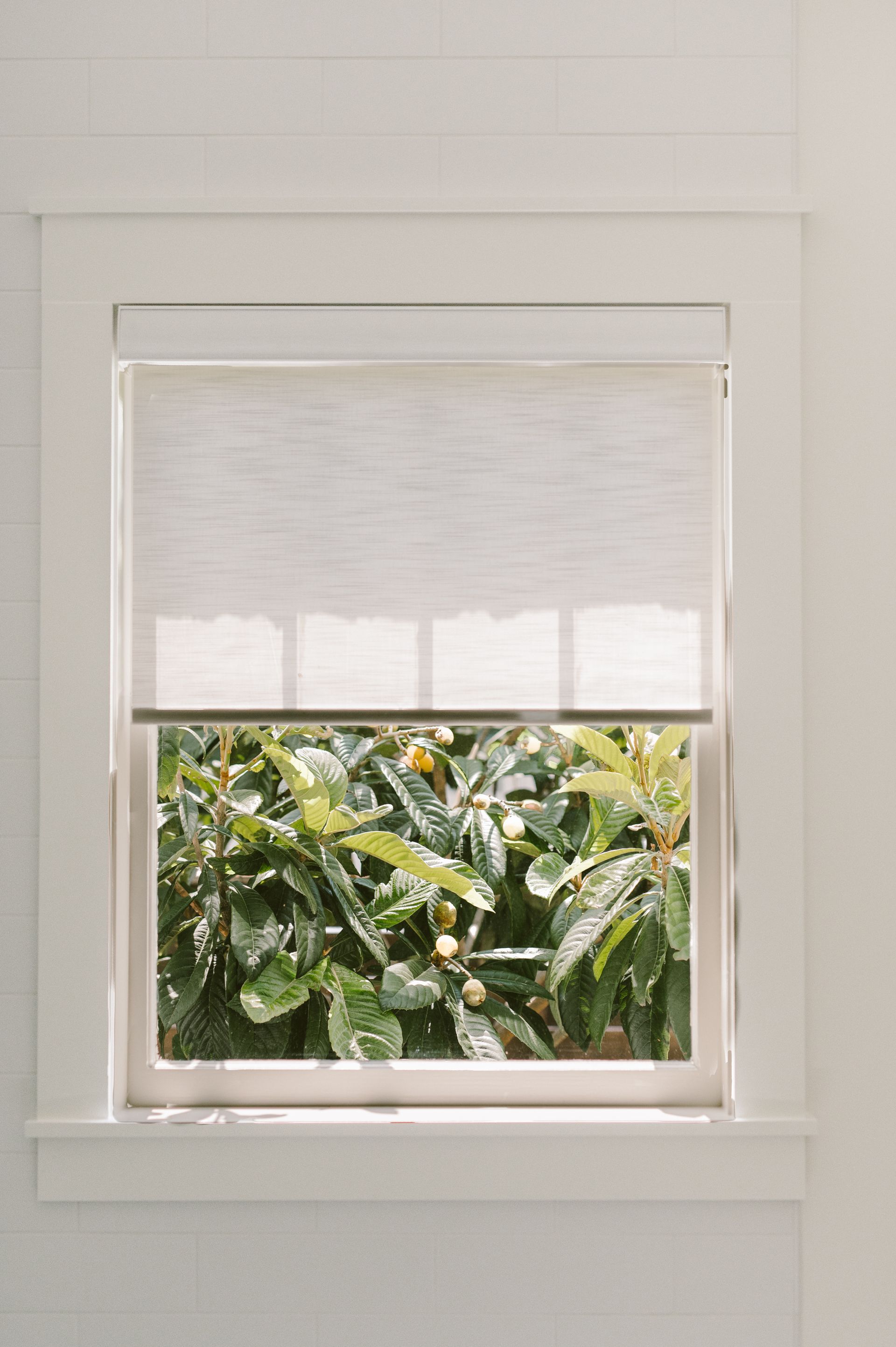 A window with a white blind on it and a view of a bush.