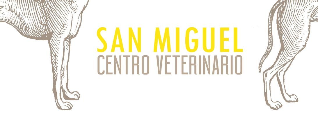 El logotipo de San Miguel Centro Veterinario tiene una imagen de un perro.