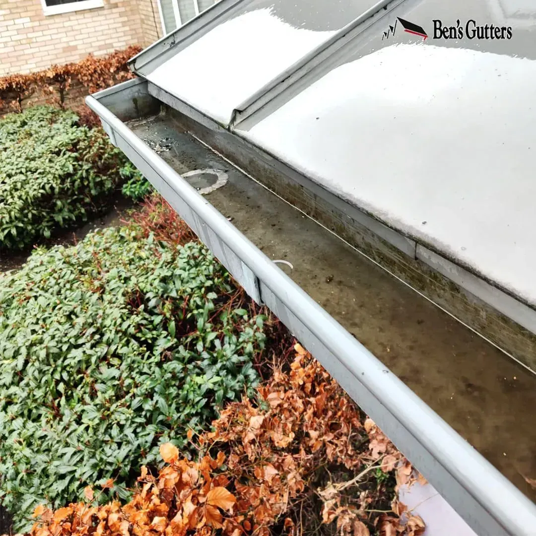 Gutter filled with water and debris, overflowing near a bush. The photo is taken outside on an overcast day.