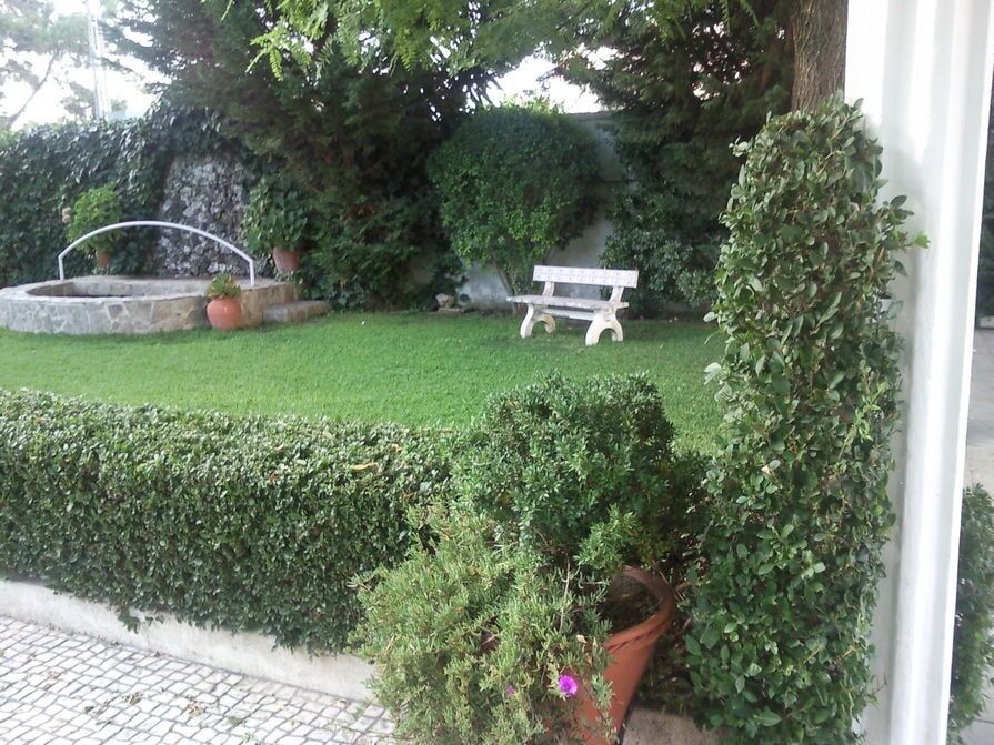 Manutenção e Construção de Jardins em Fernão Ferro
