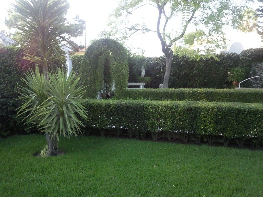 Manutenção e Construção de Jardins em Fernão Ferro
