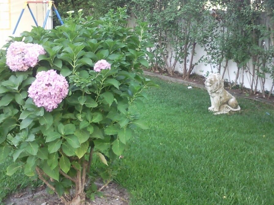 Manutenção e Construção de Jardins em Fernão Ferro
