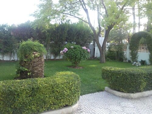 Manutenção e Construção de Jardins em Fernão Ferro
