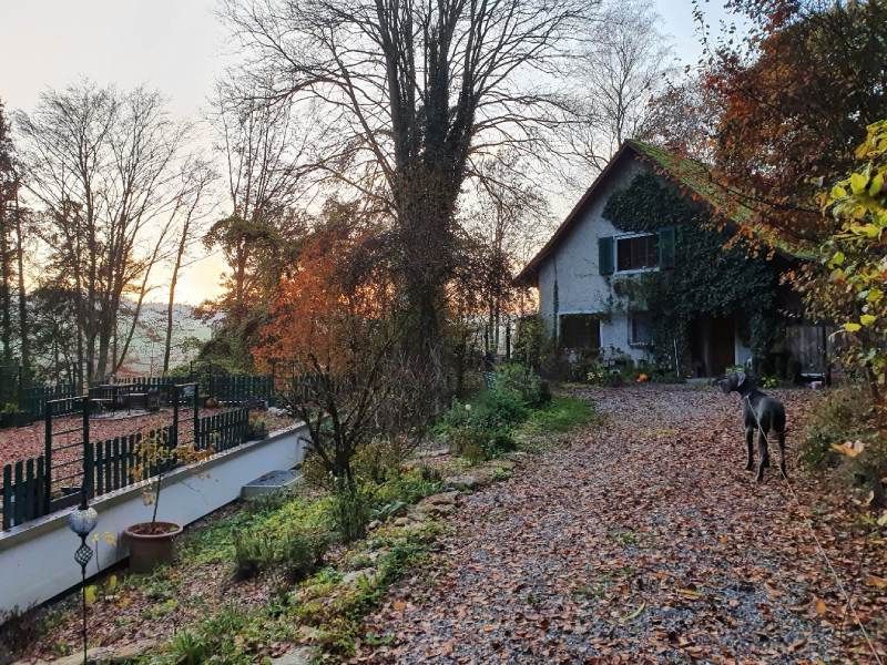 Haus und Garten bei Dog's Garden