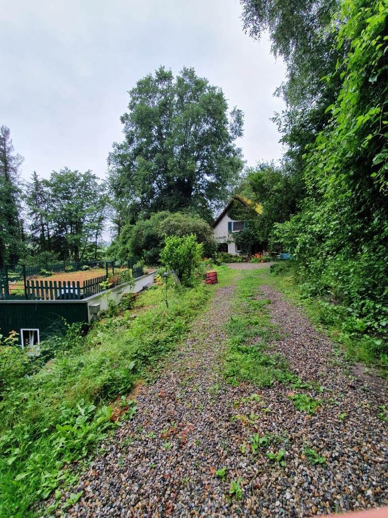 Garten bei Dog's Garden