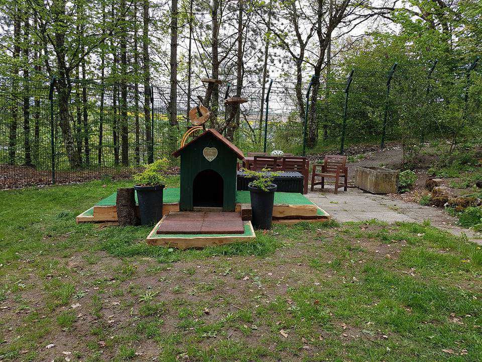 Garten bei Dog's Garden