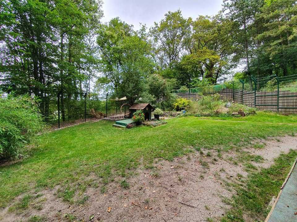 Garten bei Dog's Garden