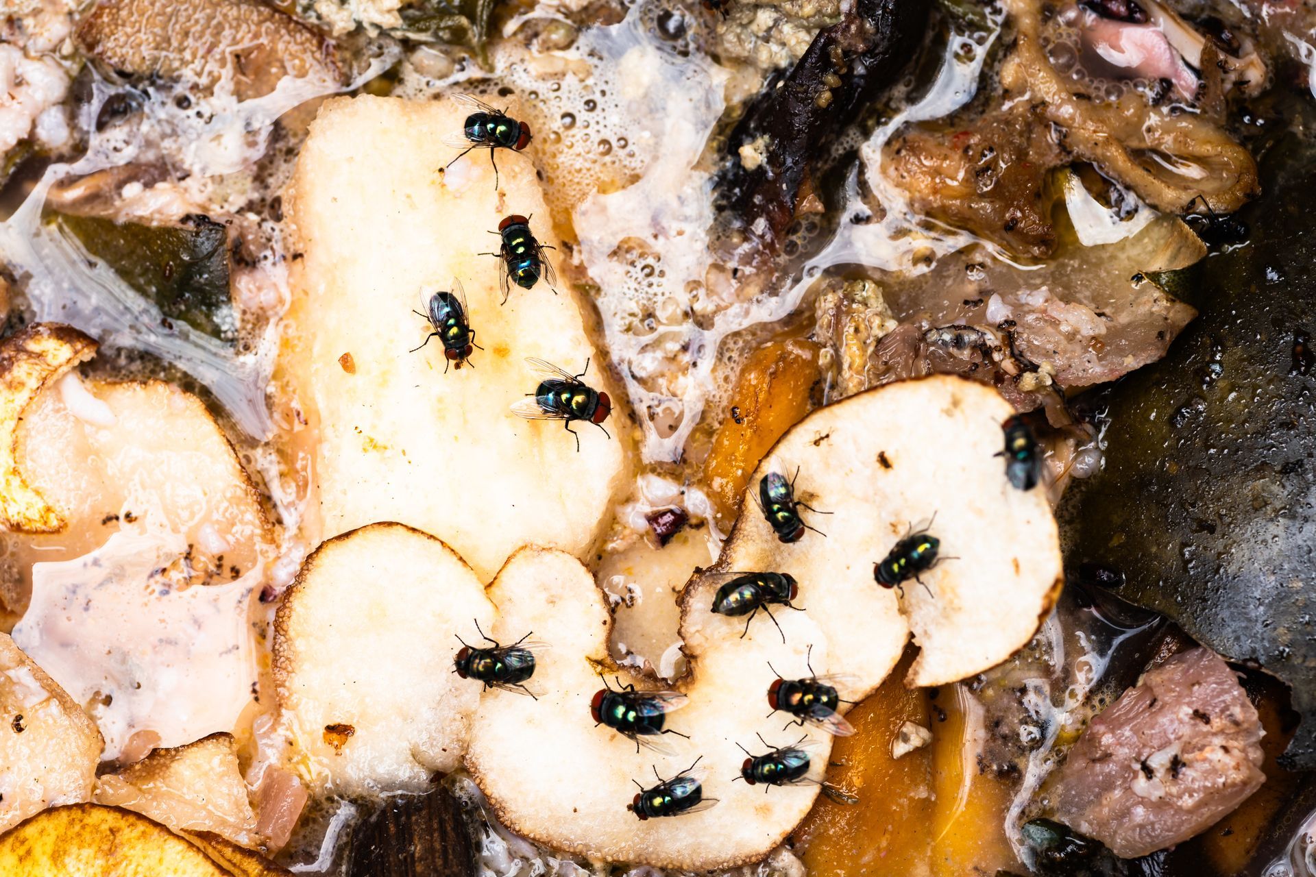 Des mouches sur des fruits