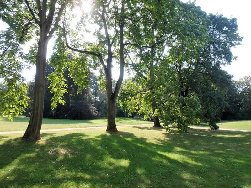 IPACH MAYERHOFER Landschaftsarchitekten PartGmbB, Neu-Isenburg