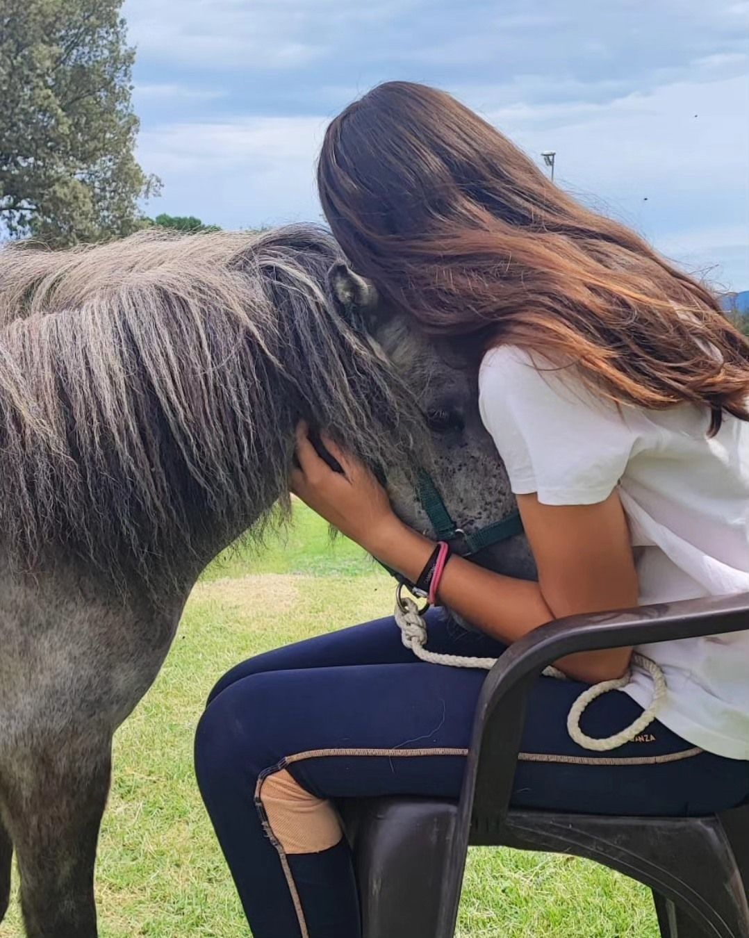 Una niña está sentada en una silla abrazando a un caballo.
