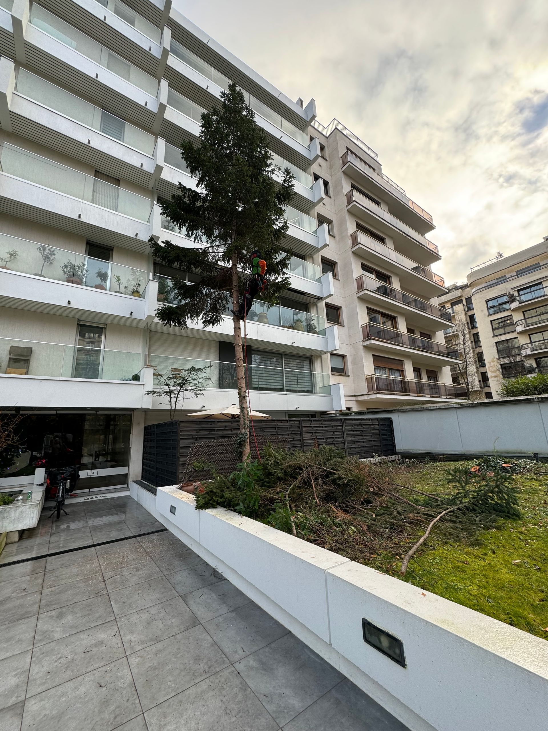 Abattage d'un arbre dans une résidence