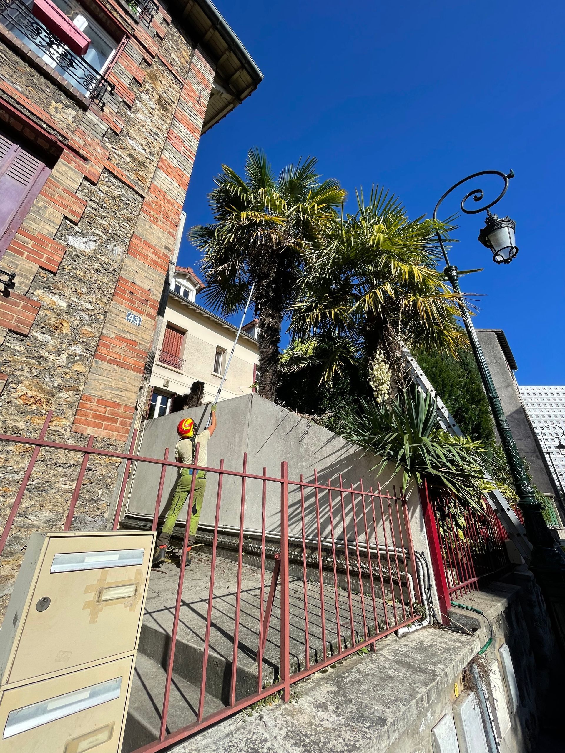 Élagage depuis le sol