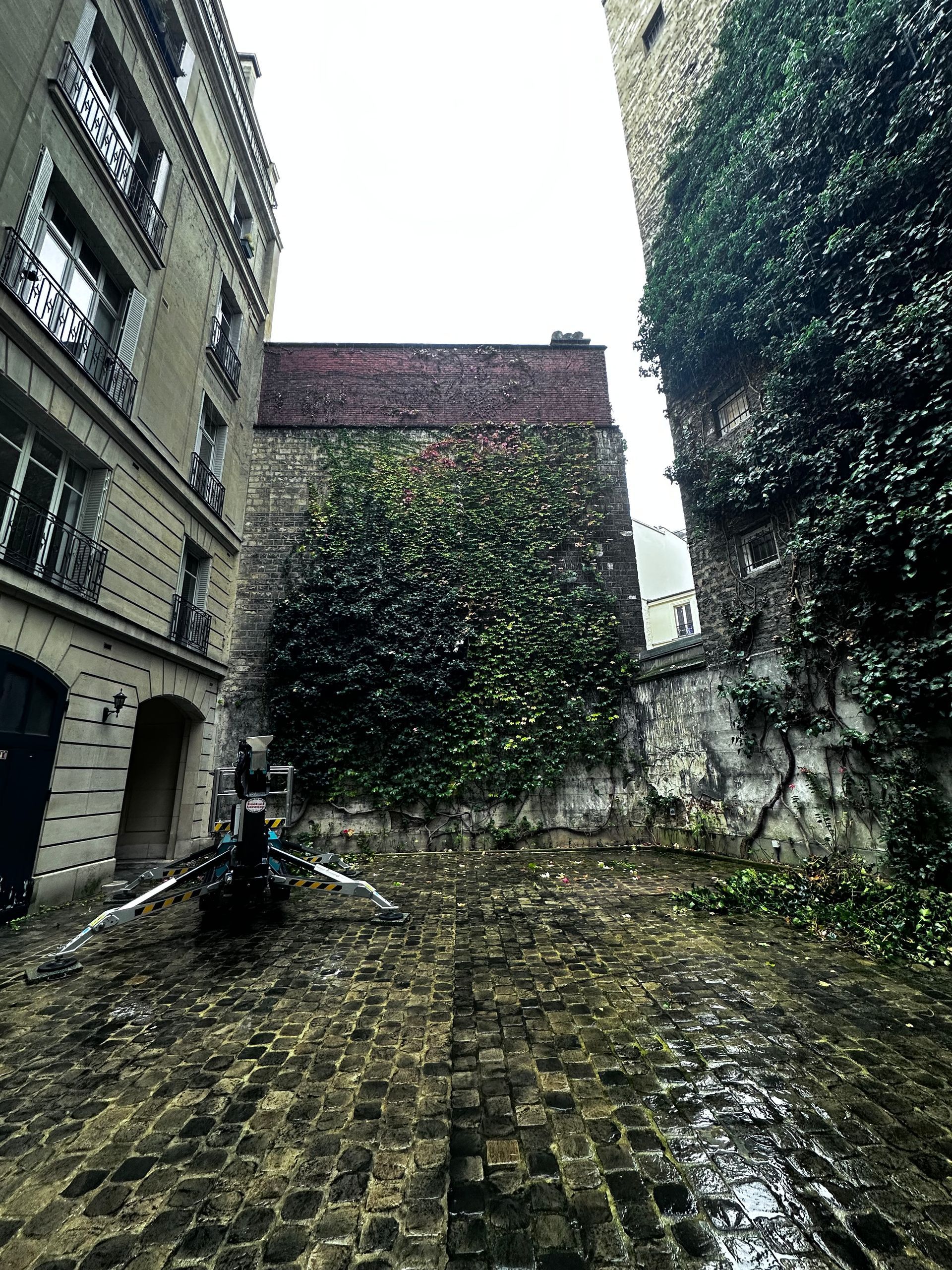 Travaux de débroussaillage