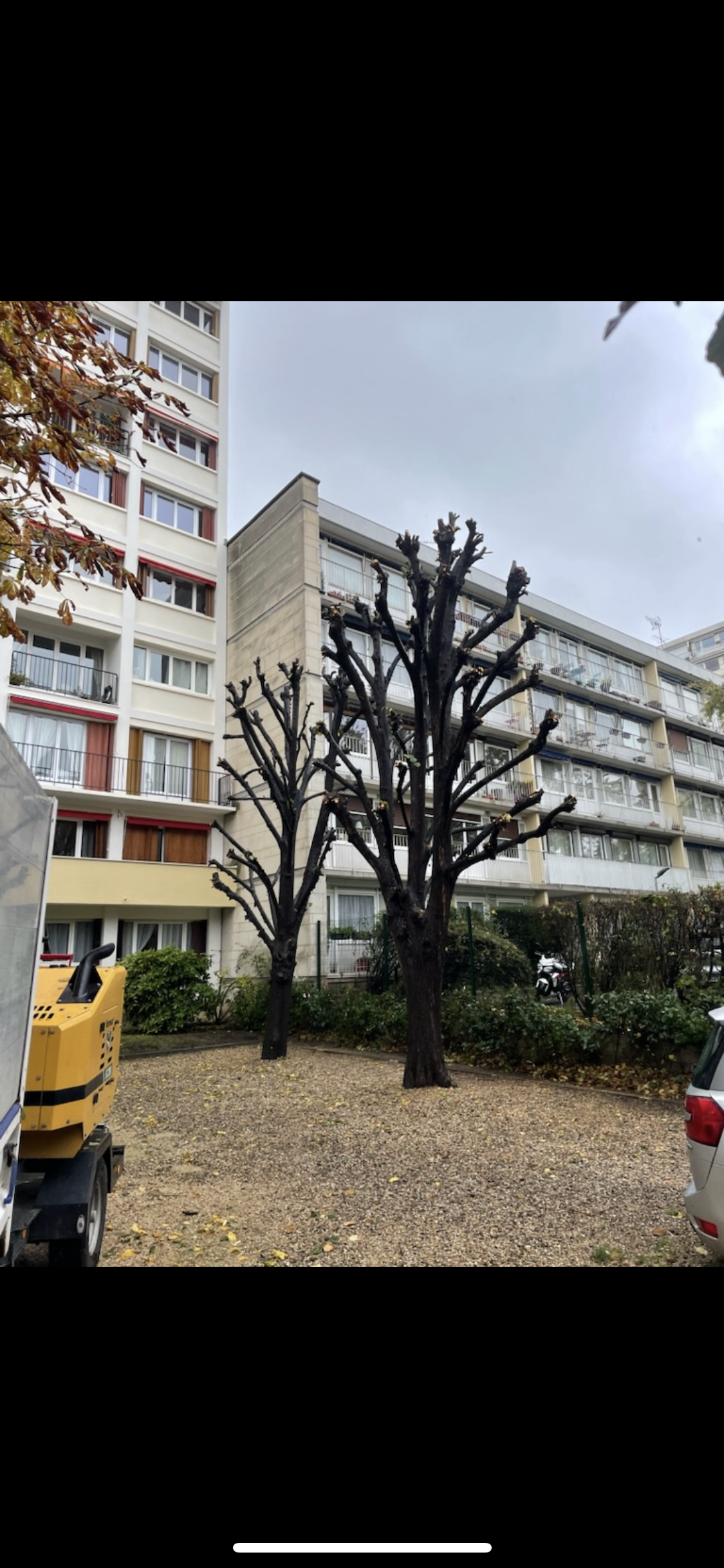 Élagage dans une résidence