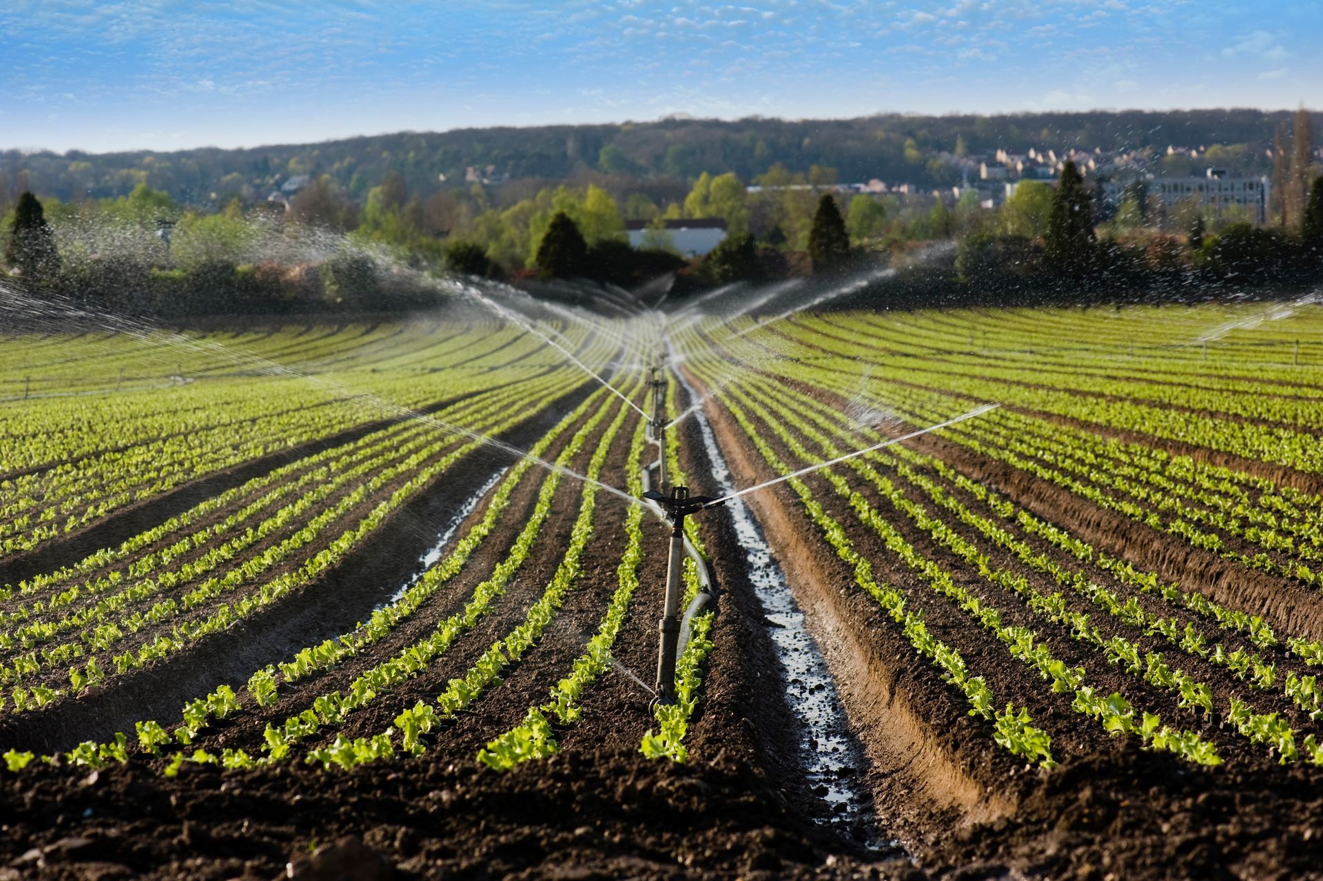 Un système d'arrosage dans un champ agricole 
