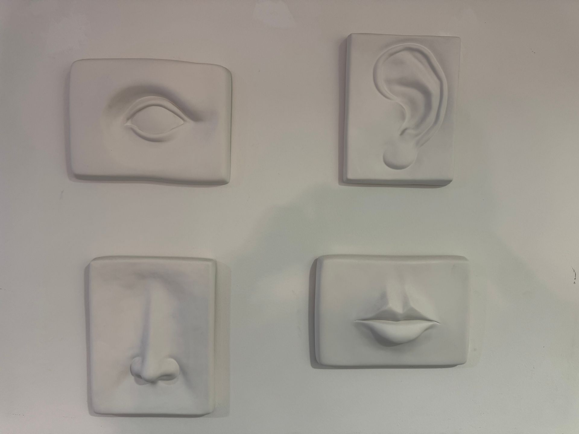 3D-Bilder an der Wand mit Motiven der menschlichen Organe: Auge, Ohr, Nase und Mund