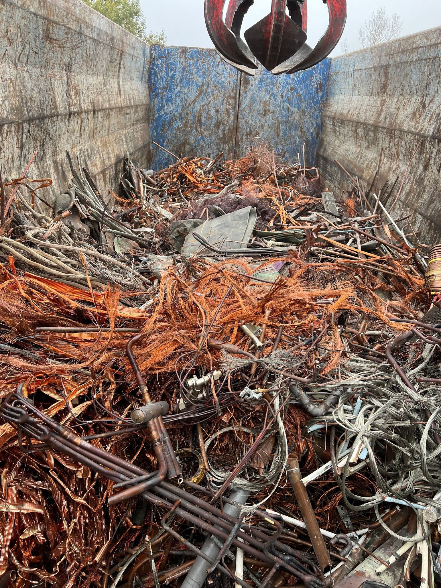 Symbole métallique de l'euro avec un graphique boursier en arrière-plan flou.
