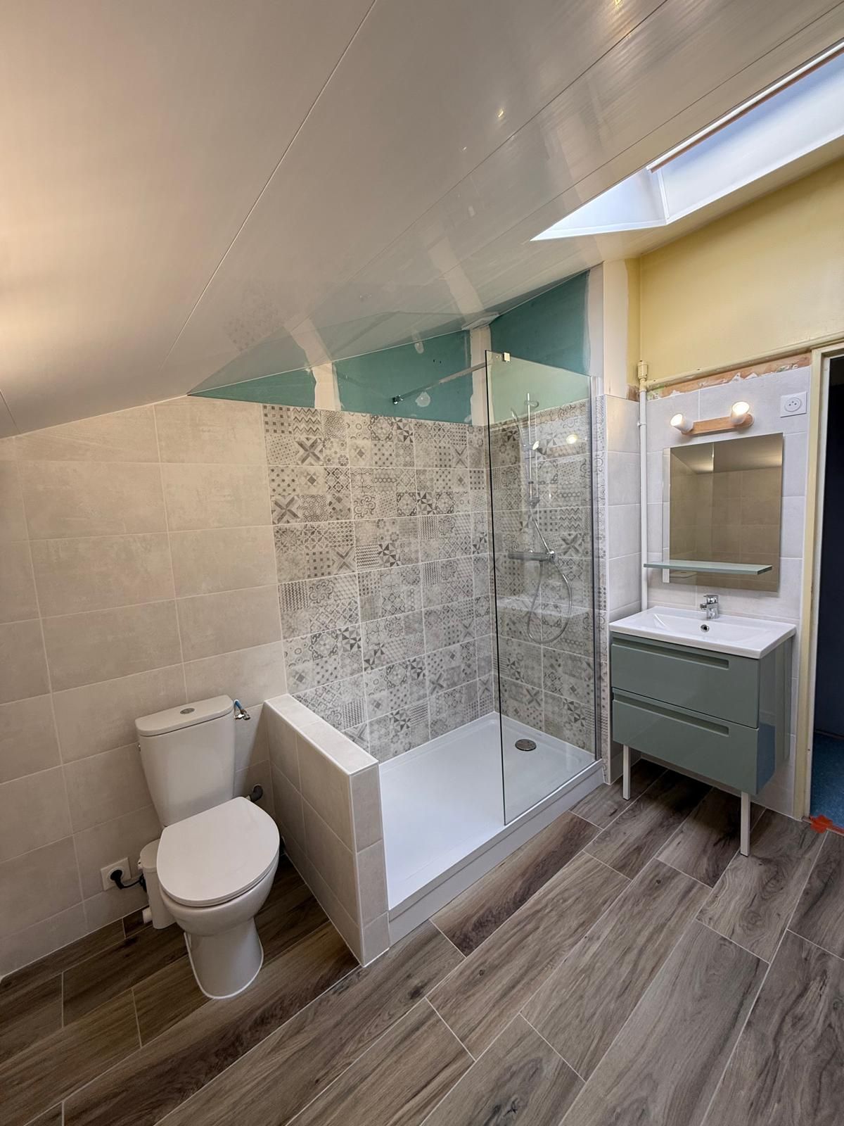 Salle d'eau avec des toilettes et une douche