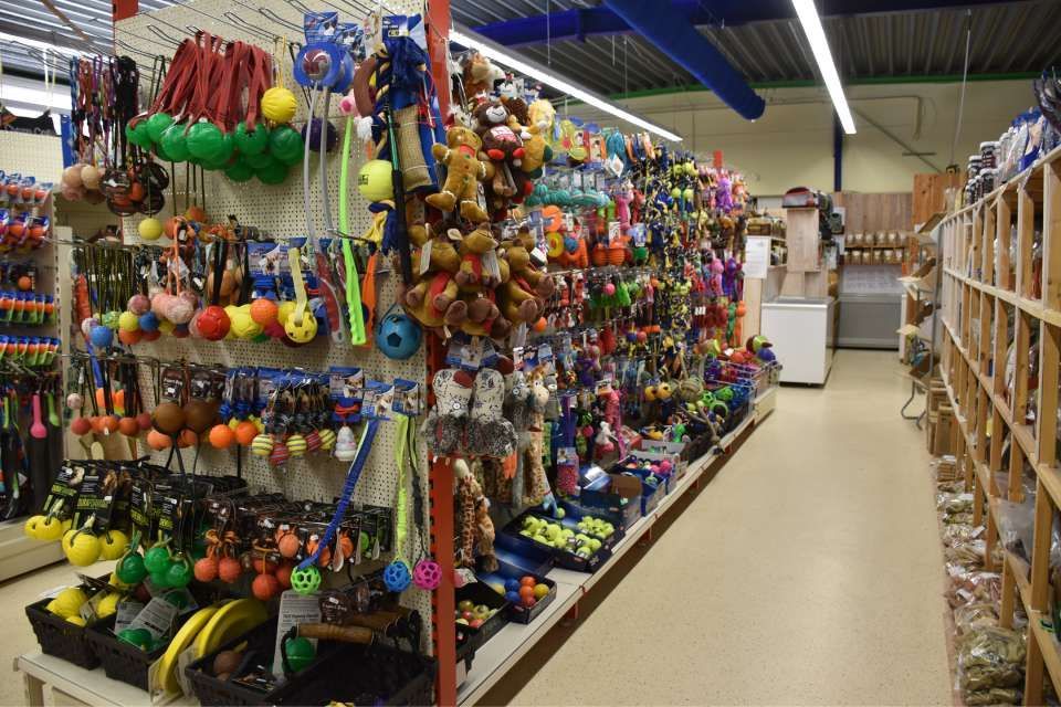 Sortiment an Plüschtieren und anderem Hundezubehör