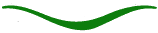 geschwungene Linie