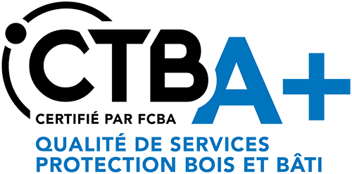 Logo CTBA+