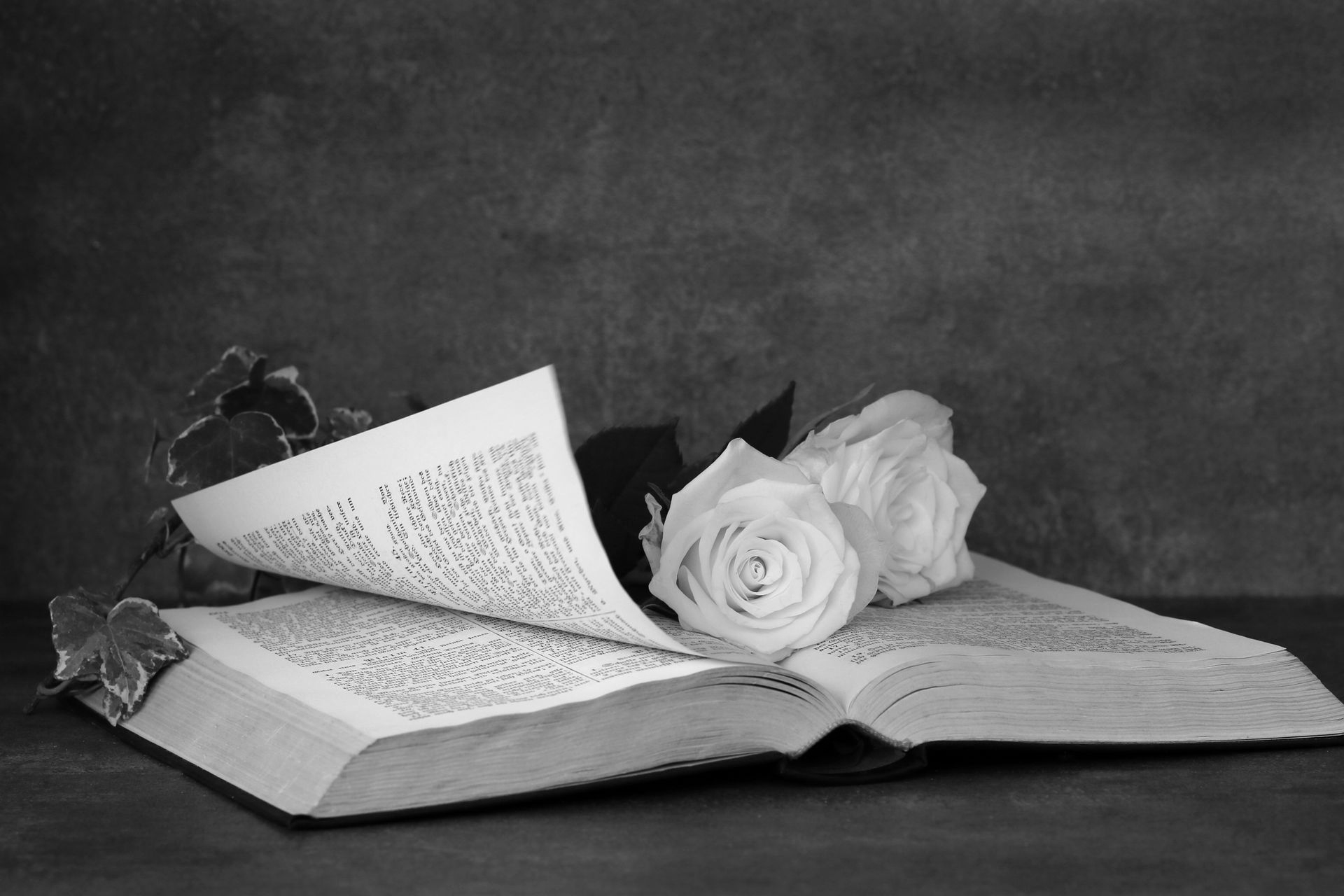 Dessin d'un bouquet d'hortensias