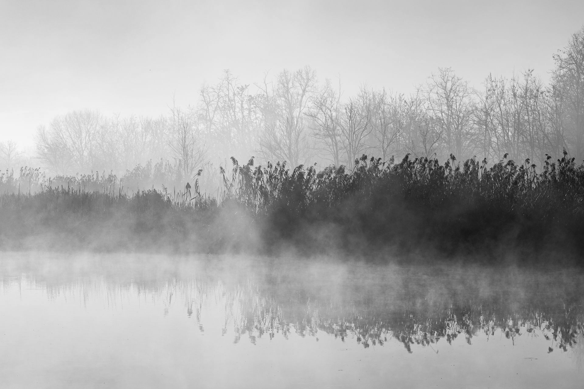Lac dans la brume