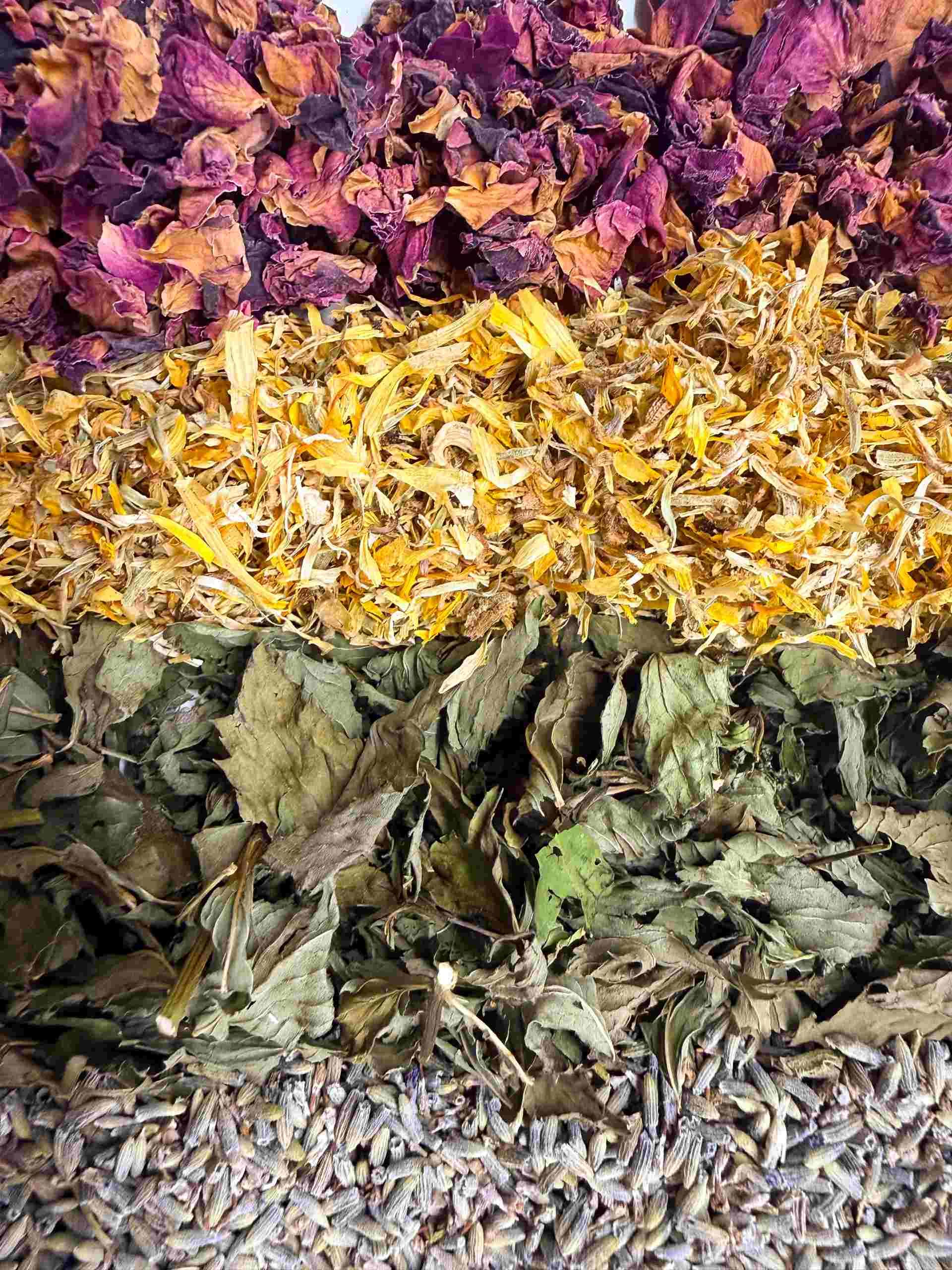 Vier bunte Haufen getrockneter Blütenblätter und Kräuter in Lila, Gelb, Grün und Lavendel.
