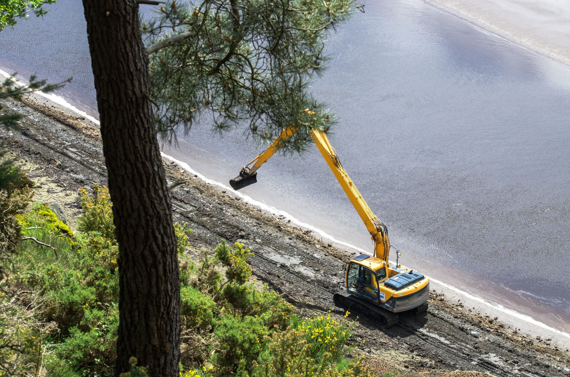 Grue près d'un plan d'eau