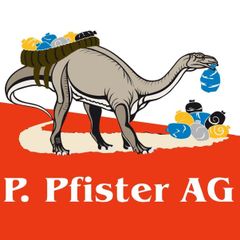 Peter Pfister AG -  Logo