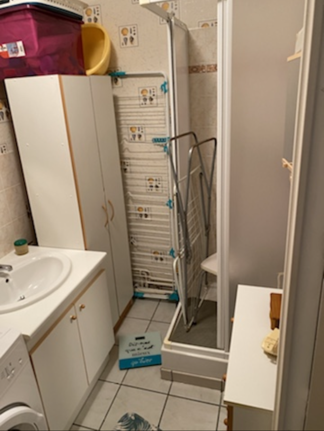 Salle d'eau avant travaux avec une vue sur la douche