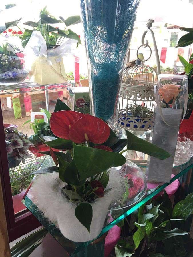 Una flor roja está en un jarrón de vidrio sobre una mesa de vidrio.