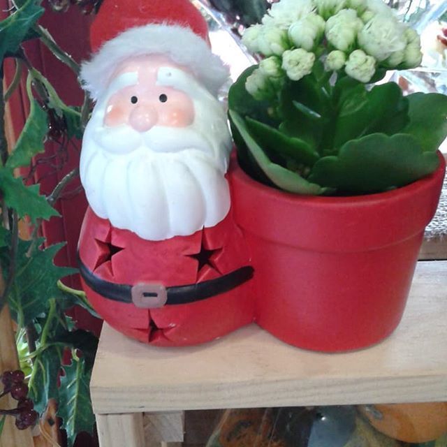 Una figura de Papá Noel se sienta junto a una planta en maceta.
