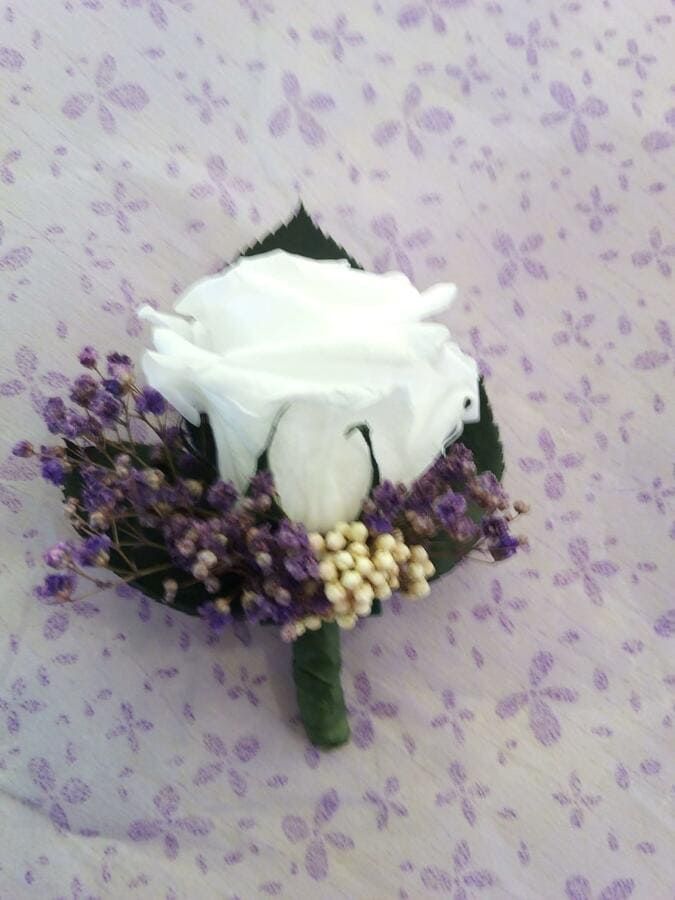 Una rosa blanca está rodeada de flores moradas.