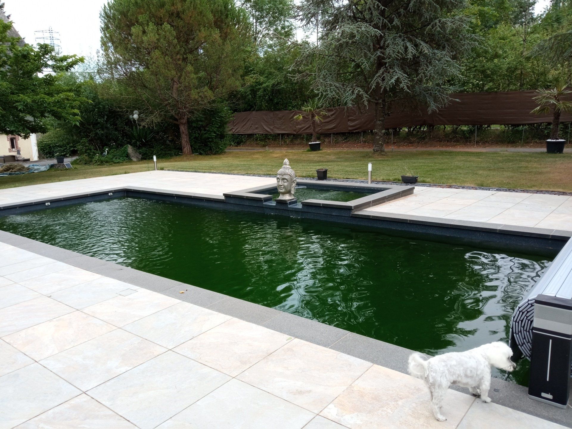 Nettoyage de bassins de piscines