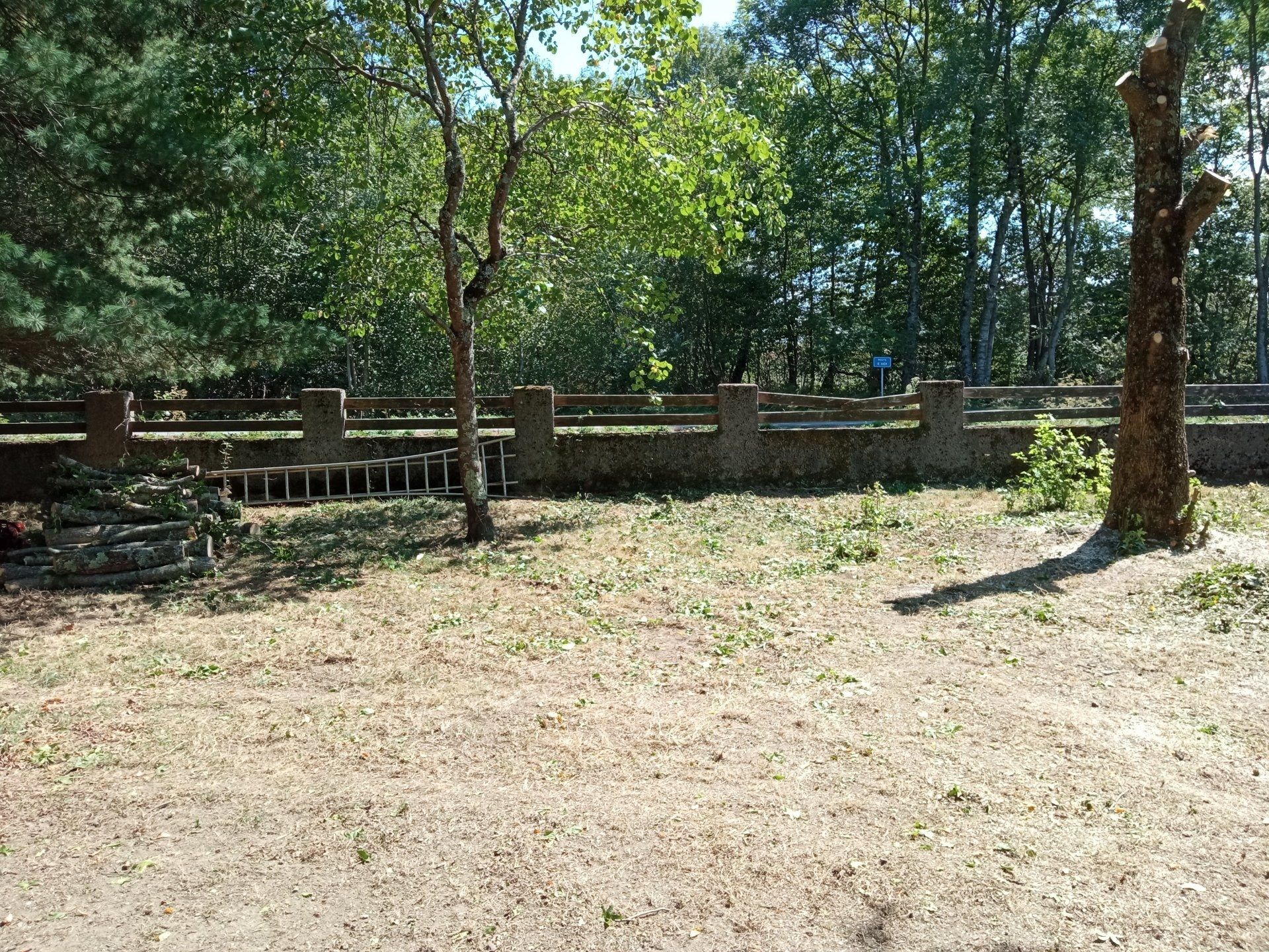 Aménagement de parcs et jardins