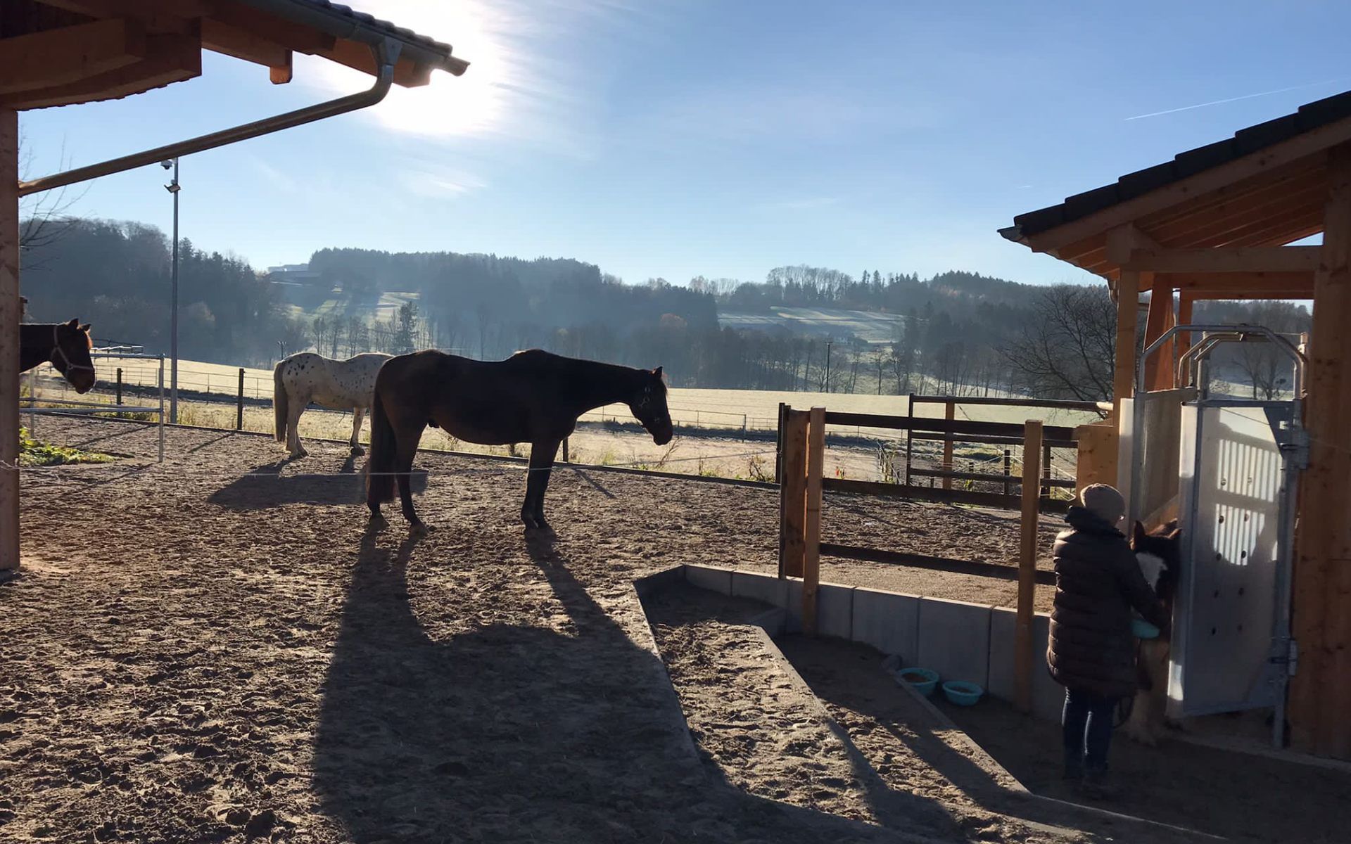 Aktivstall Roswitha Lindner