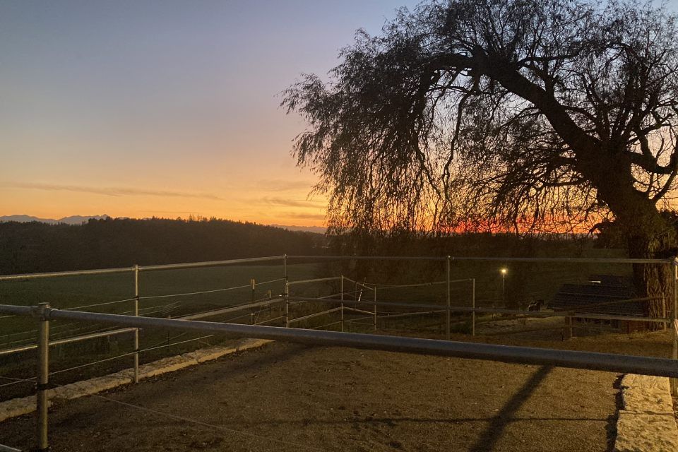 Aktivstall Roswitha Lindner