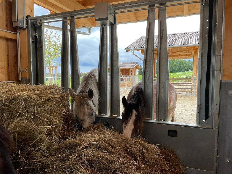 Aktivstall Roswitha Lindner