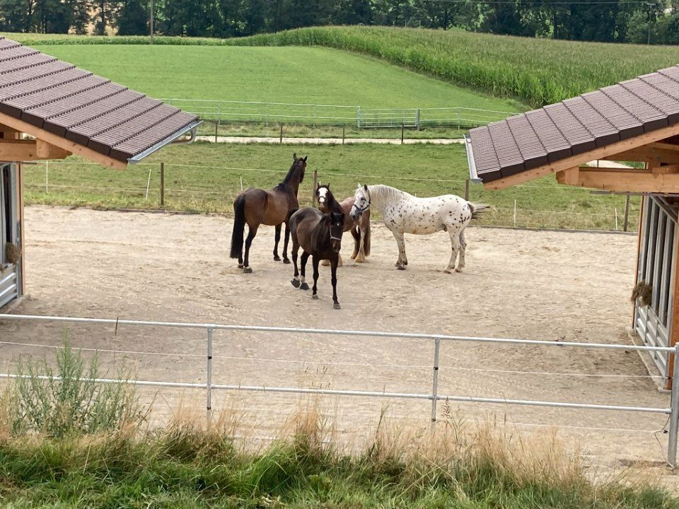 Aktivstall Roswitha Lindner