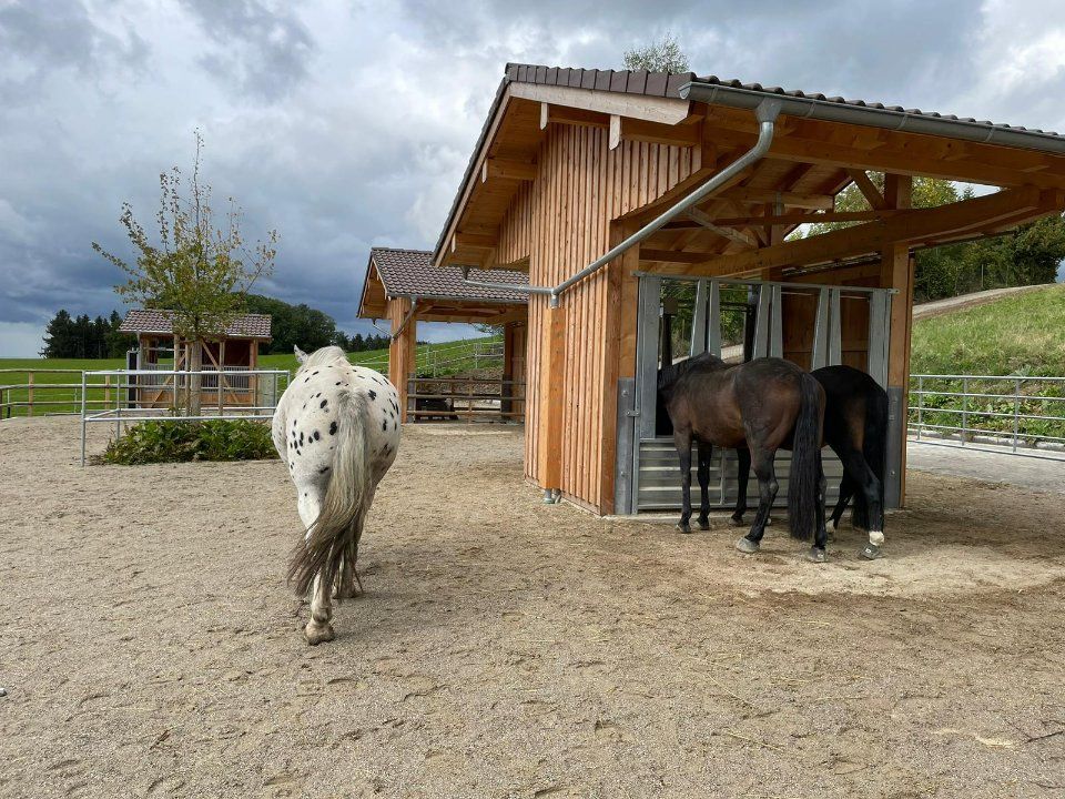 Aktivstall Roswitha Lindner