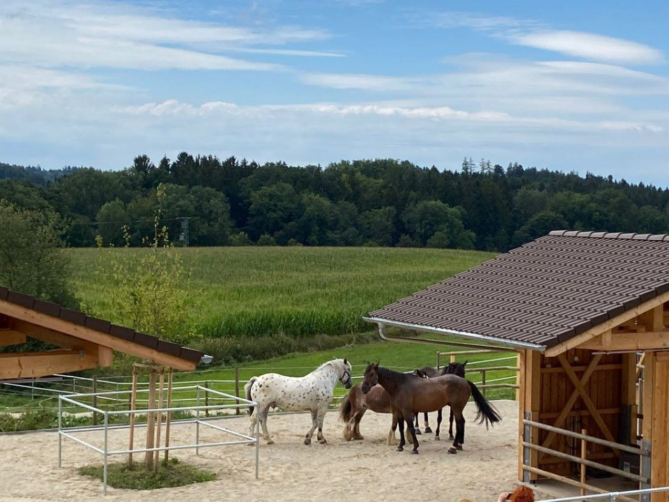 Aktivstall Roswitha Lindner