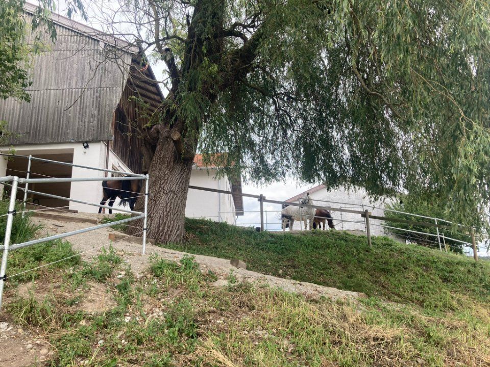 Aktivstall Roswitha Lindner