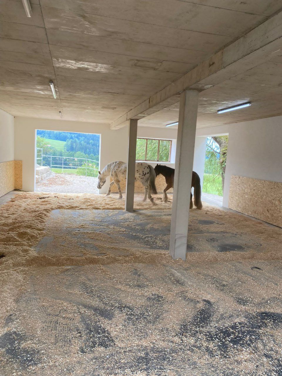 Aktivstall Roswitha Lindner