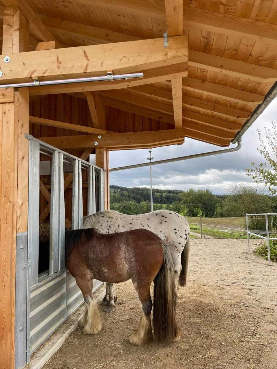 Aktivstall Roswitha Lindner